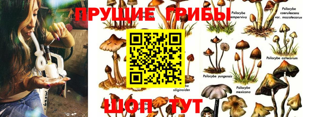 Галлюциногенные грибы Magic Shrooms Ухта