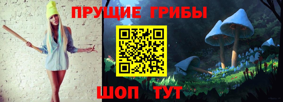 Ухта  Псилоцибиновые грибы MAGIC MUSHROOMS  Галлюциногенные грибы прущие грибы  Вход с VPN 